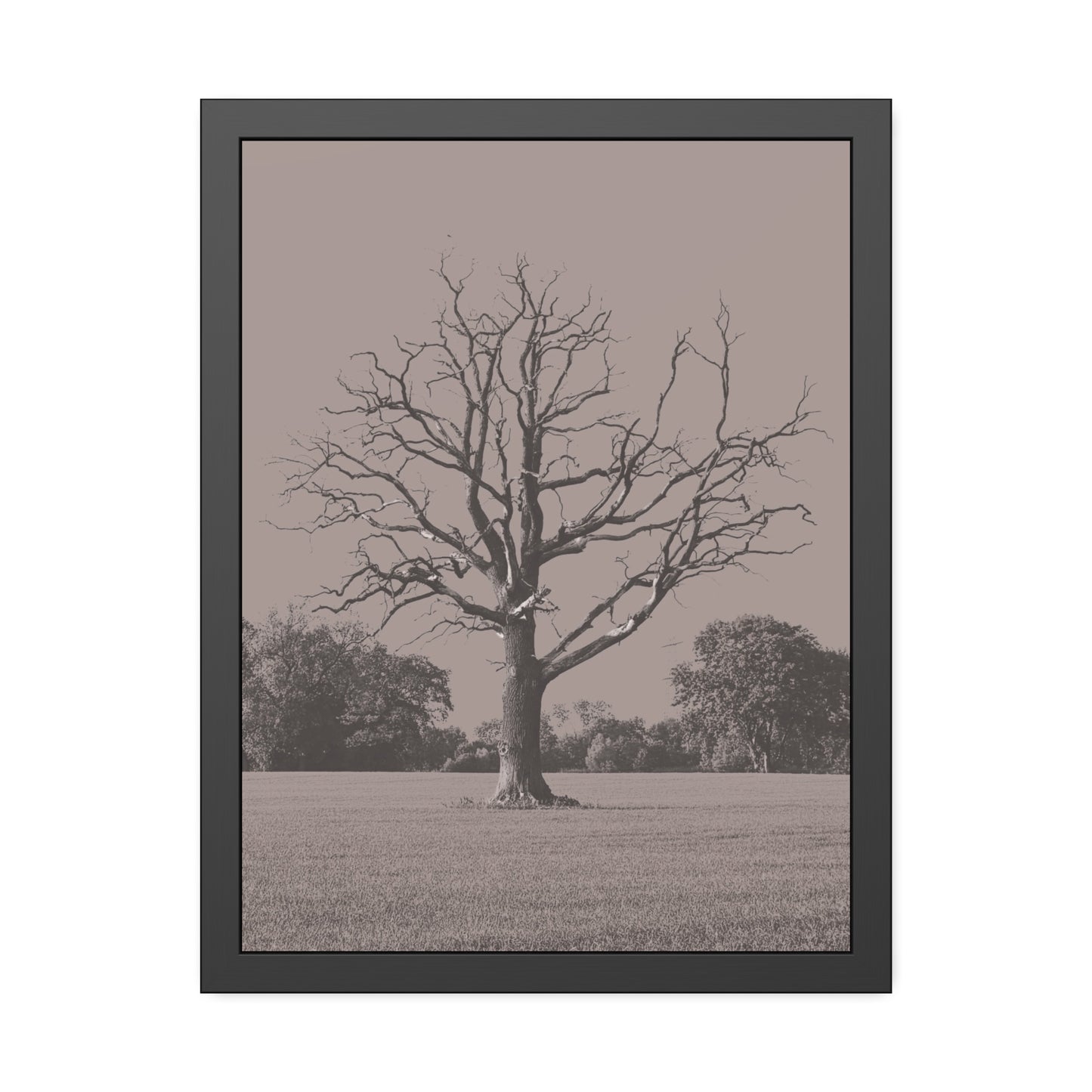 The Tree - Framed Paper Posters