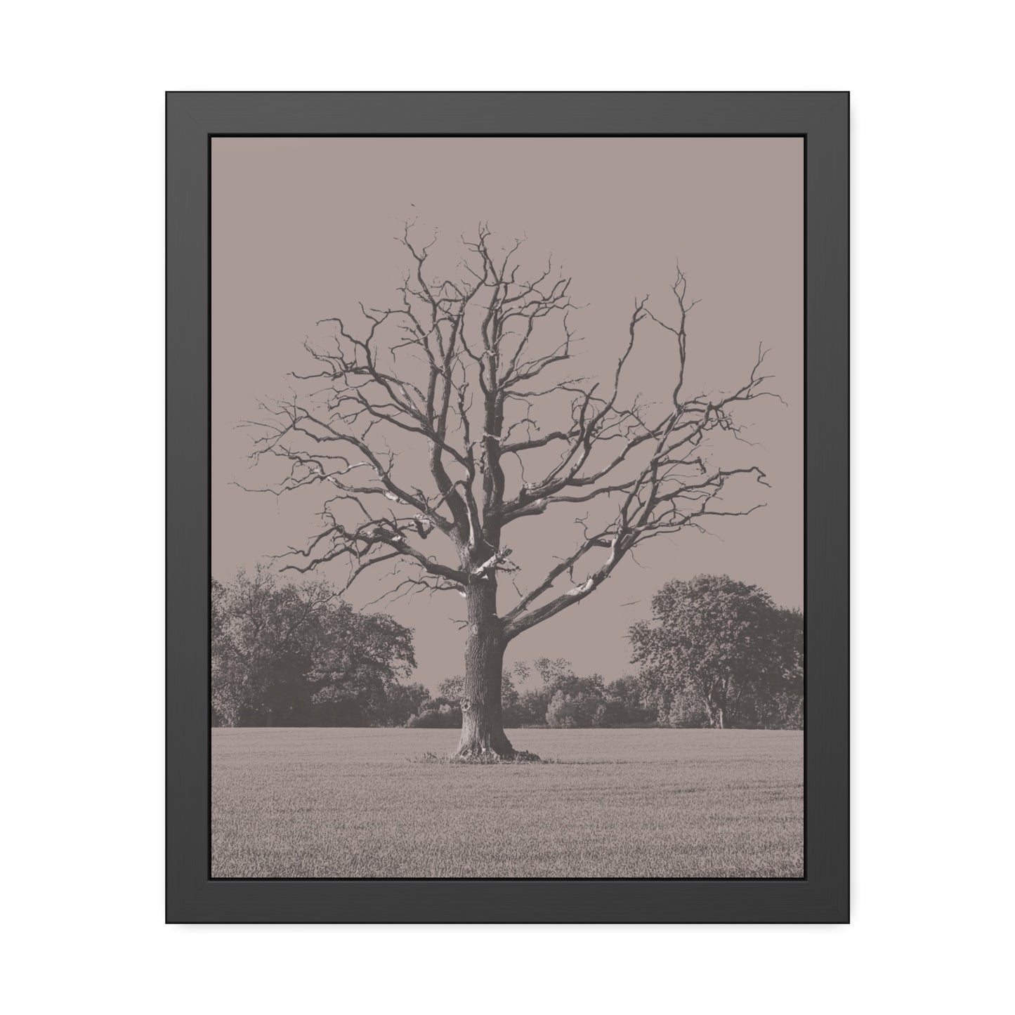 The Tree - Framed Paper Posters
