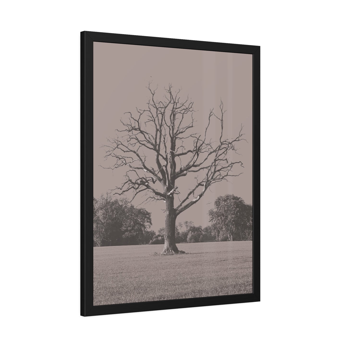 The Tree - Framed Paper Posters