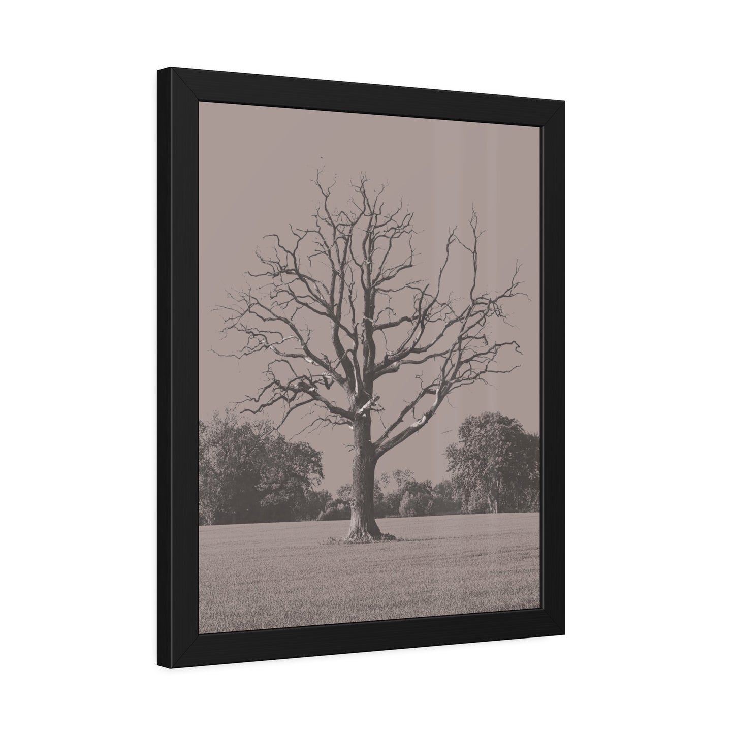 The Tree - Framed Paper Posters