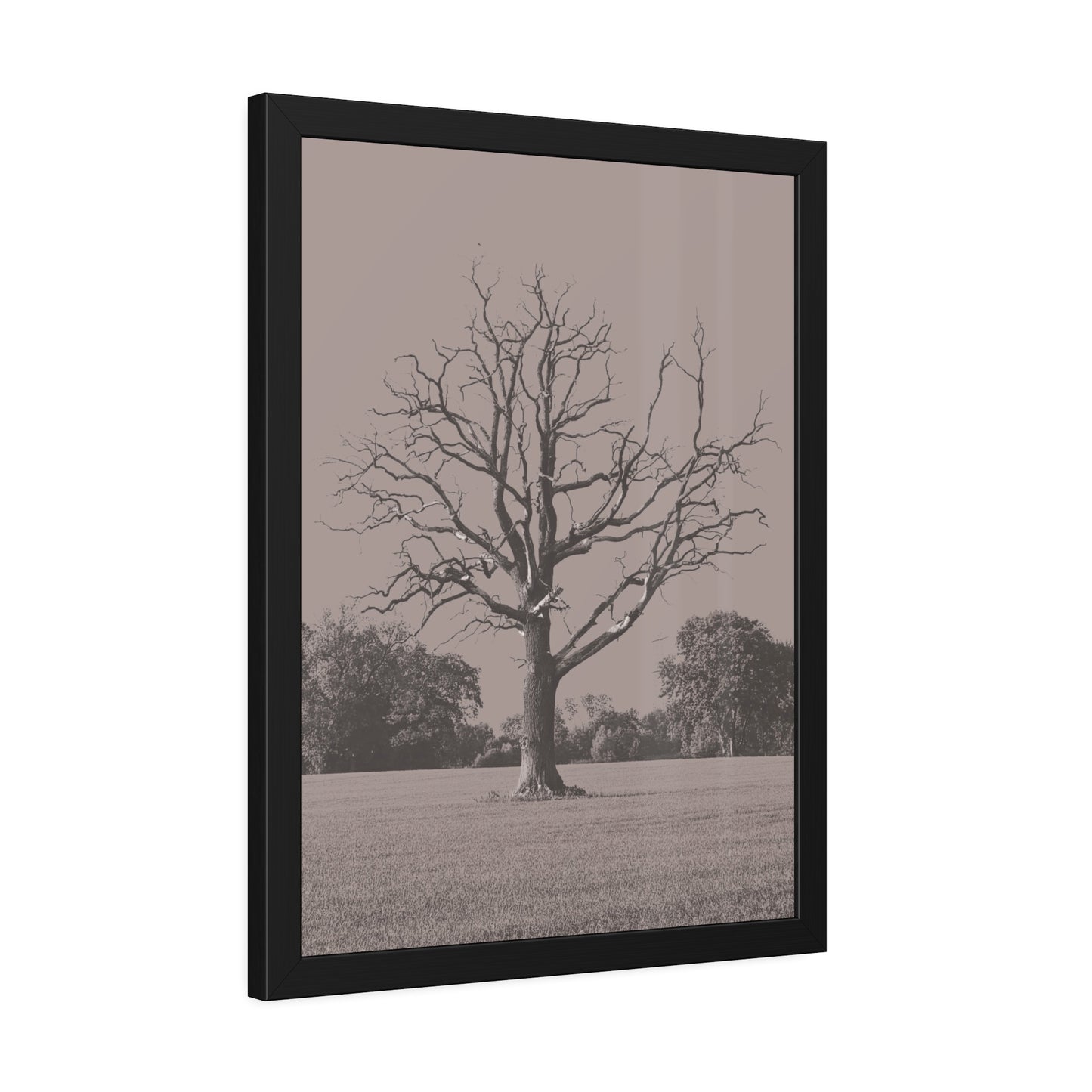 The Tree - Framed Paper Posters
